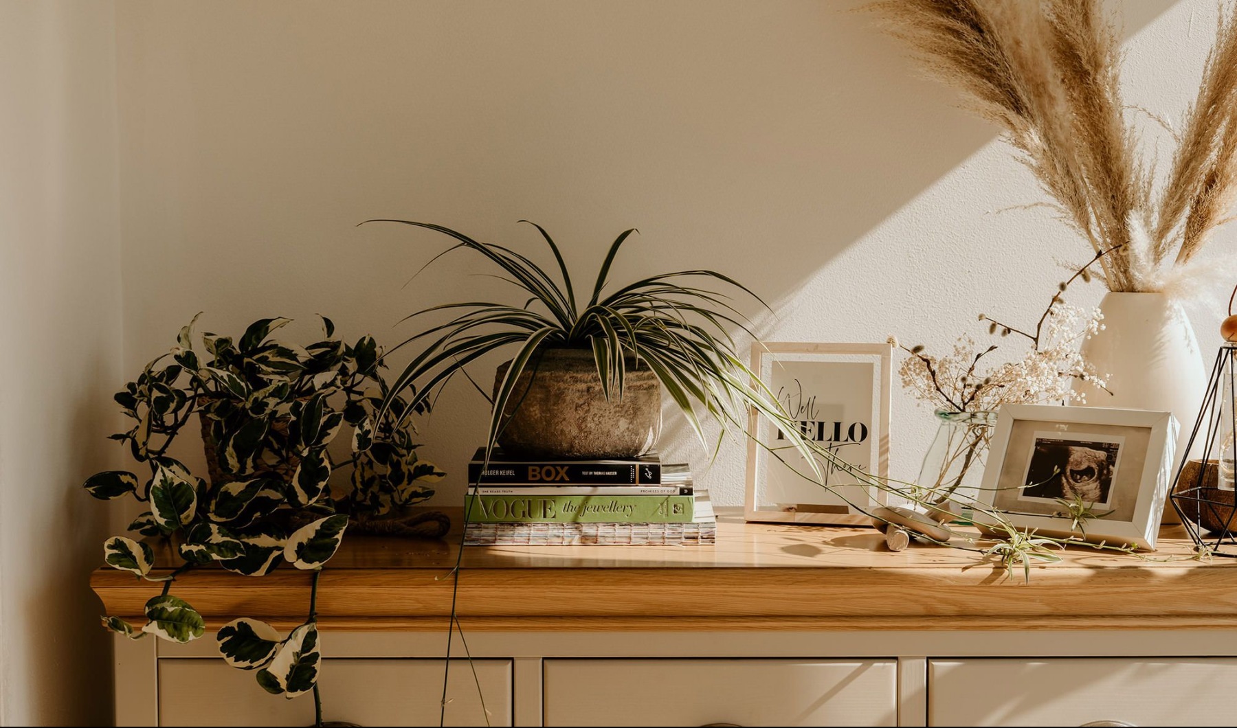 a table with plants and photos on it